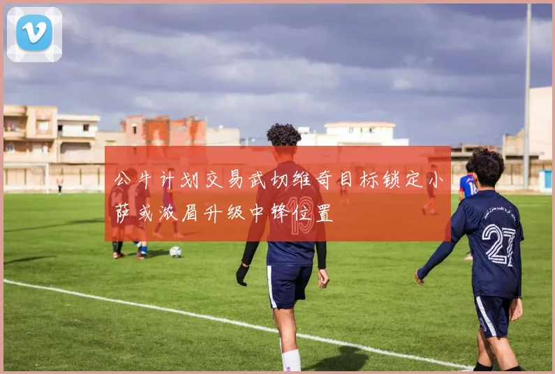 公牛计划交易武切维奇目标锁定小萨或浓眉升级中锋位置