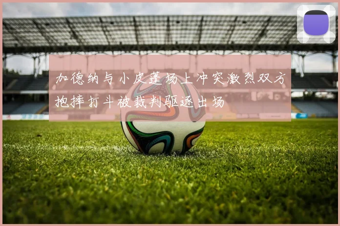 加德纳与小皮蓬场上冲突激烈双方抱摔打斗被裁判驱逐出场
