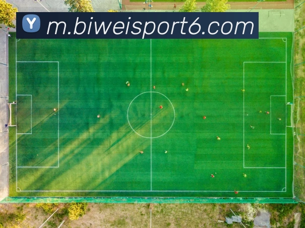 必威体育APP 封面图